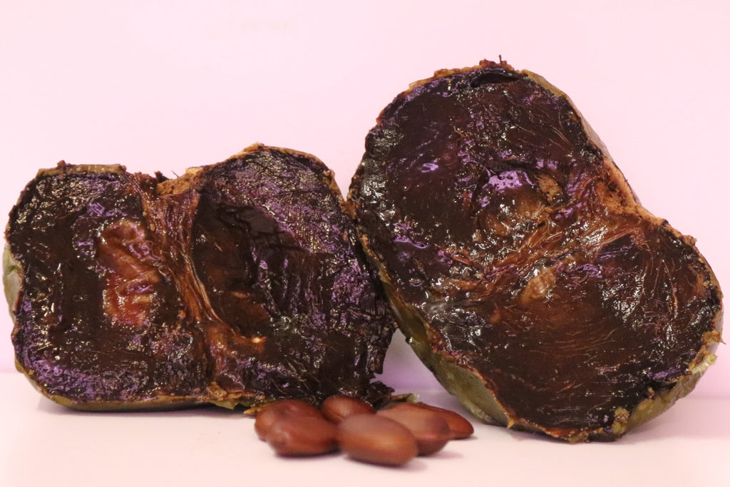 10" Tall Black Sapote Live Seedling Chocolate Pudding (Diospyros Nigra) Organic