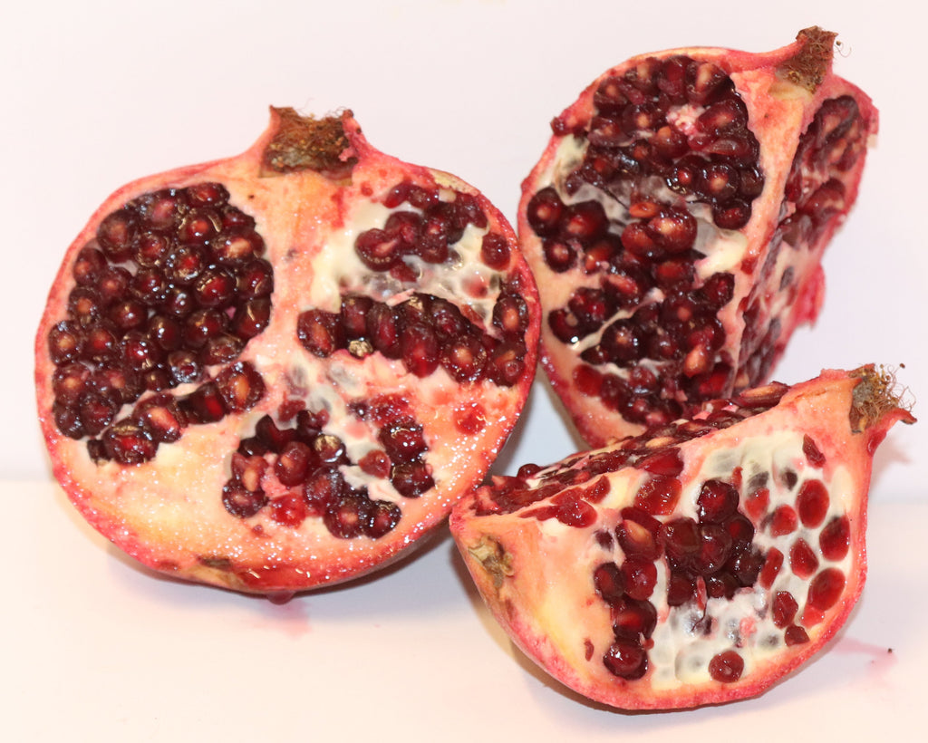 9" Tall Wonderful Pomegranate Seedling (Punica Granatum) Organic